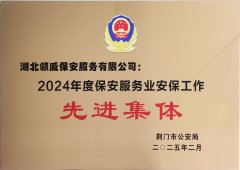 喜报！领威保安荣获“2024年度保安服务业安保工